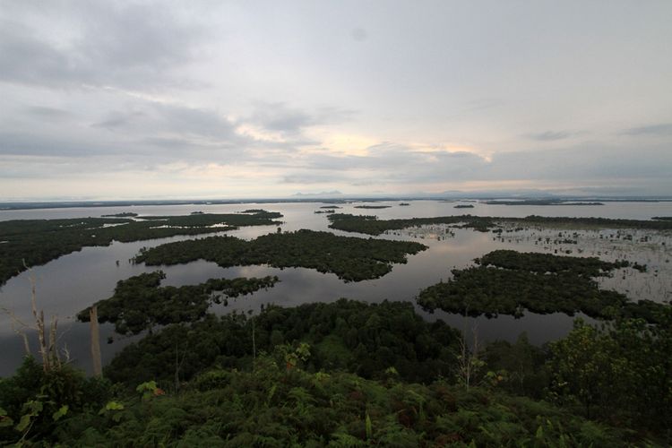 Festival Danau Sentarum 2018 Bakal Digelar Akhir Oktober