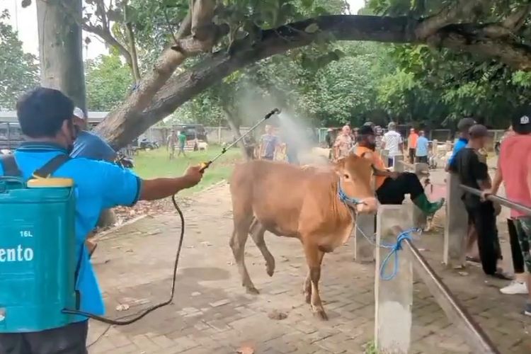 Transaksi jual beli sapi di Pasar Muneng, Kecamatan Pilangkenceng, Kabupaten Madiun, Jawa Timur sepi setelah wabah penyakit mulut dan kaki melanda Kabupaten Madiun dalam sebulan terakhir.