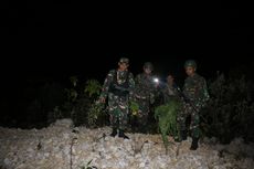 TNI Temukan Ladang Ganja di Wamena