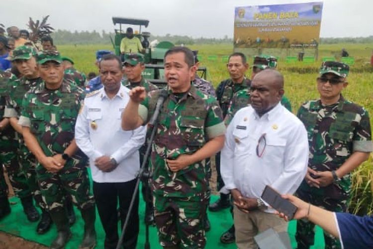 Kepala Staf TNI AD (KSAD) Jenderal Maruli Simanjuntak meninjau panen raya padi di lahan yang dikelola oleh TNI AD bersama dengan masyarakat di Kampung Ivimahad, Distrik Kurik, Kabupaten Merauke, Papua Selatan, Kamis (2/5/2024).