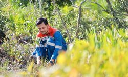 Pertamina Kembangkan Kawasan Mangrove dan Pengelolaan Sampah Kamal Muara di Jakarta