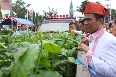 Kopi Toraja Makin Mendunia, Pemerintah Bantu Petani Bibit Unggulnya