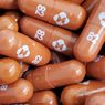 Apa Itu Pil Molnupiravir, Obat Covid-19 Buatan Merck yang Bisa Diminum dan Disetujui Inggris