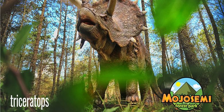 Triceratops, salah satu wahana dinosaurus di Mojosemi Forest Park.