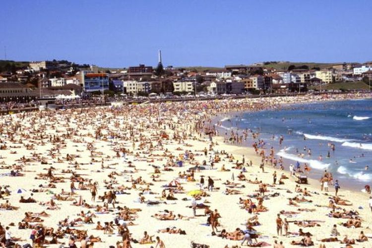 Sydney menawarkan 70 pantai membentang sepanjang pesisir pantai dan lekukan teluk.