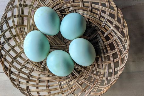 Cara Kemas Telur Asin, Aman untuk Kirim ke Luar Kota