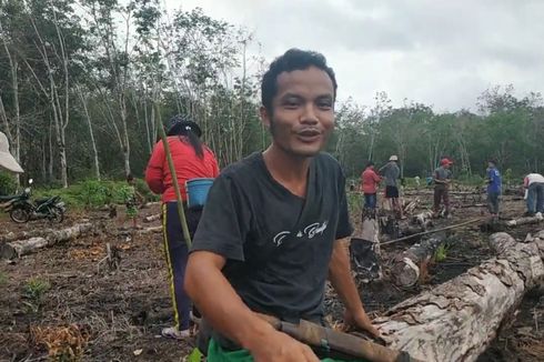 Cerita di Balik Peladang yang Ditangkap karena Tradisi Bakar Kebun