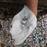 Jarum Suntik dan Ratusan Botol Limbah Medis Dibuang Berserakan di Selokan