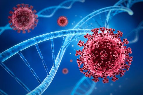 Eijkman Khawatir Perubahan Mutasi Virus B.1.1.7 Ganggu Diganosis Molekuler PCR