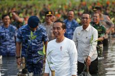 BERITA FOTO: Punya Hutan Mangrove Terluas di Dunia, Jokowi Titip Pesan