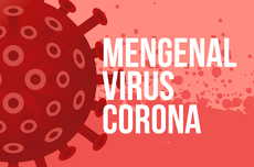 INFOGRAFIK: Mengenal Virus Corona, Kelompok Virus yang Tak Hanya Sebabkan Covid-19