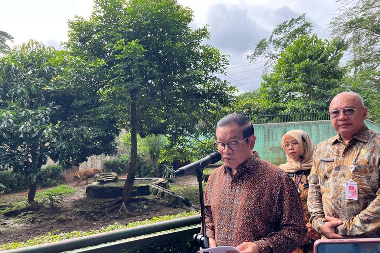 Kunjungi Ragunan, Pramono Bantah Ada Harimau Kurus dan Kelaparan
