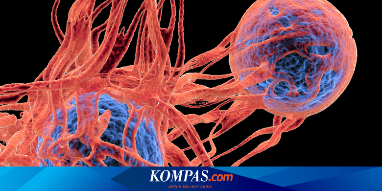 Teknologi Mutakhir: Ilmuwan Korsel Klaim Bisa Ubah Sel Kanker Menjadi Sel Normal