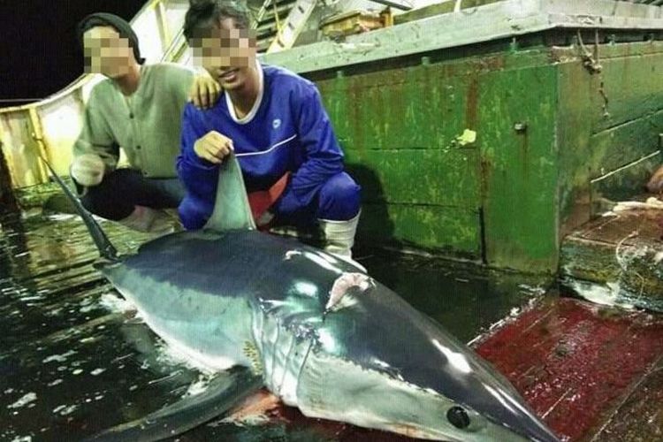 Para ABK di salah satu kapal penangkap ikan berbendera China (BBC Indonesia)