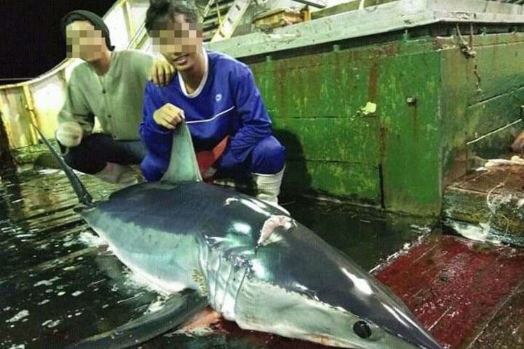 45 Abk Indonesia Di Kapal Ikan Asing Mengaku Belum Terima Gaji Totalnya Rp 2 9 Miliar Halaman All Kompas Com