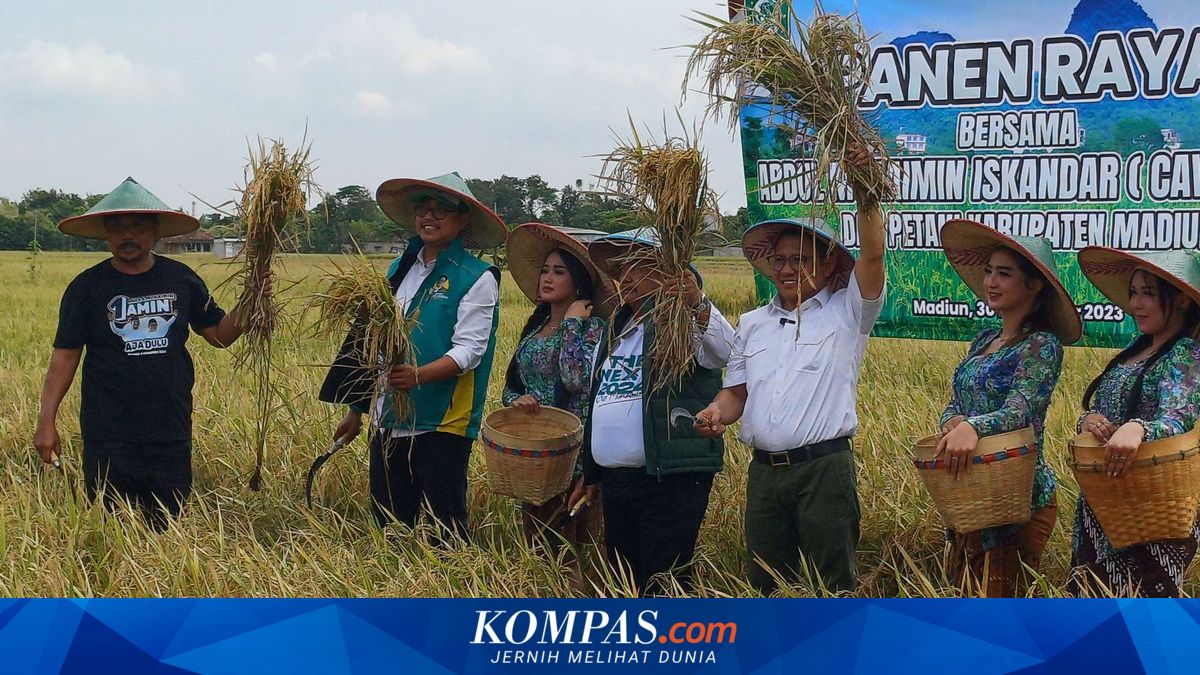 Hadiri Panen Raya di Madiun, Cak Imin: Kita Semua Saksikan Masalah ...
