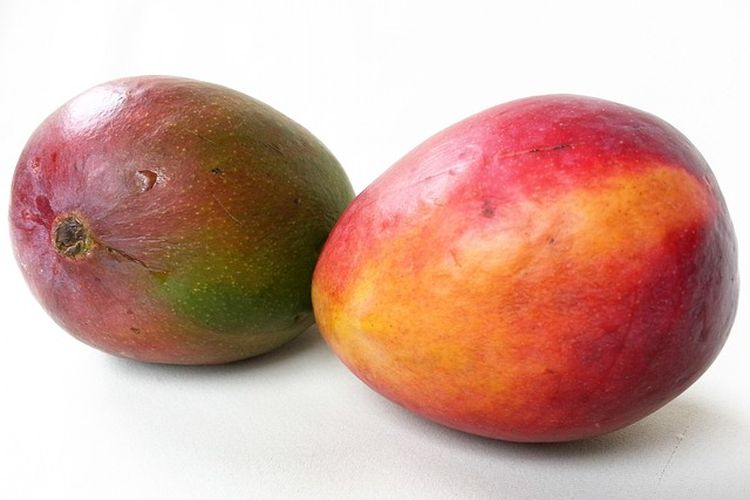 Ilustrasi buah mangga merah