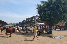 Pasar Hewan di Gunungkidul Kembali Dibuka, Belasan Ternak Harus Pulang karena Suhu Tubuh Tinggi