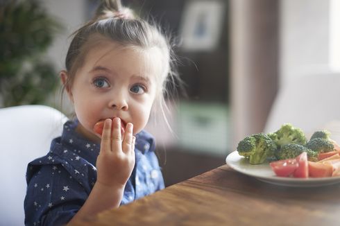 Rekomendasi Menu Makanan untuk Anak 1 Tahun Agar Tidak Bosan