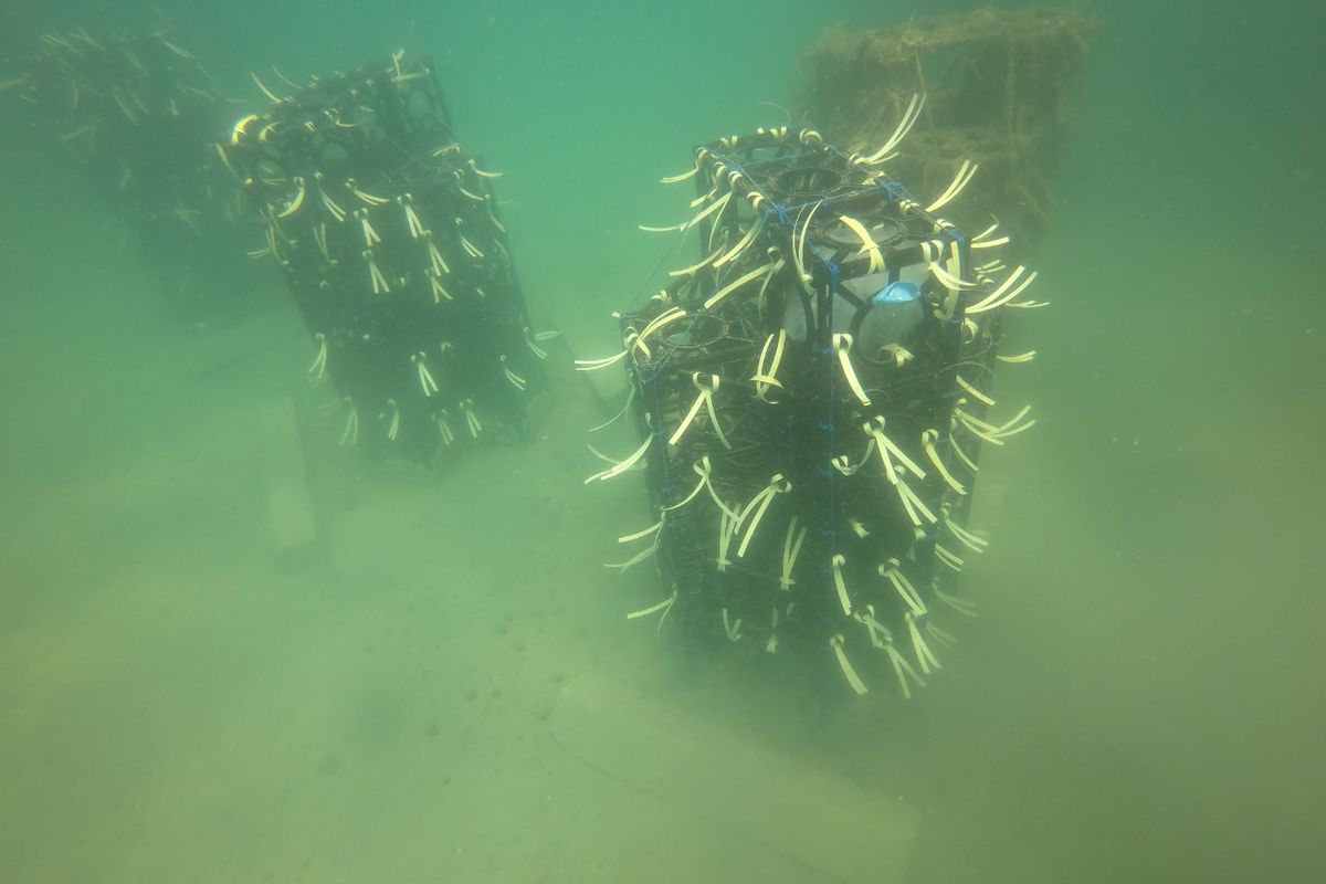 Rumah Ikan atau fish apartment di dasar laut, program Kementerian Kelautan dan Perikanan (KKP).