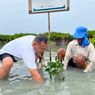 Cara Ikut Tanam Mangrove Bumi Journey, Wisata Peduli Lingkungan
