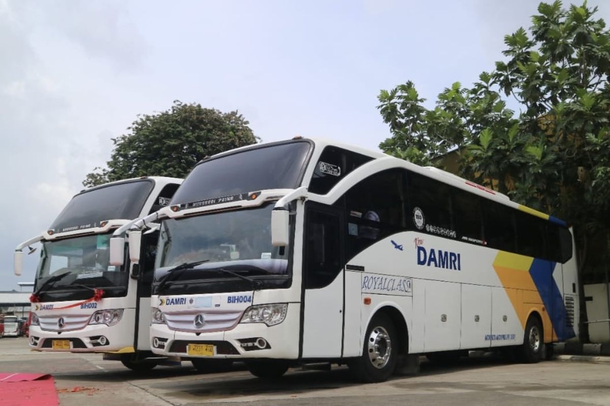 Bus AKAP DAMRI Royal Class