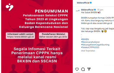 Tangkapan layar pengumuman pengadaan PPPK BKKBN 2023. BKKBN membuka 2.044 formasi PPPK untuk tiga jabatan dengan berbagai kualifikasi pendidikan, termasuk SMA/sederajat.