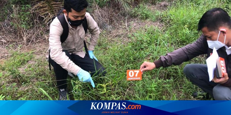 Tulang Manusia Ditemukan Berserakan di Kebun Sawit, di Dekatnya Ada KTP Rifin Sitorus Warga Sumut - Vimarsana News