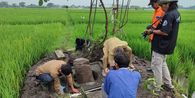 Lingga-Yoni Terbesar di Nganjuk Diduga Dirusak, Pelaku Mengaku “Orang Dinas”