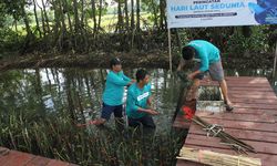 1.500 Mangrove Ditanam di Instalasi Tambak Silvofishery Maros