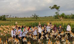 Petani di NTT Rawan Gagal Panen, Kementan Sarankan Mereka Ikut AUTP
