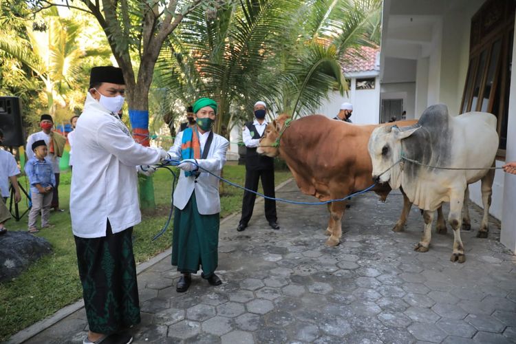 Wali Kota Madiun Maidi menyerahkan dua ekor sapi kurban dari Pemkot Madiun kepada pengurus Masjid Agung Baitul Hakim Kota Madiun usai salat jamaah Idul Adha, Jumat (31/7/2020).