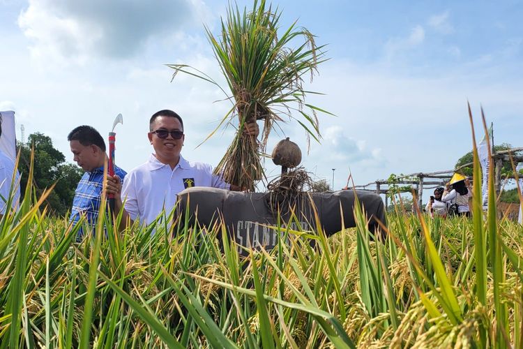 Menteri Pertanian, Andi Amran Sulaiman menyampaikan apresiasinya atas keberhasilan warga binaan Rumah Tahanan Negara Kelas I Tanjungpinang, Kepulauan Riau melakukan panen padi di lahan bekas tambang bauksit di Pulau Dompak, Tanjungpinang.