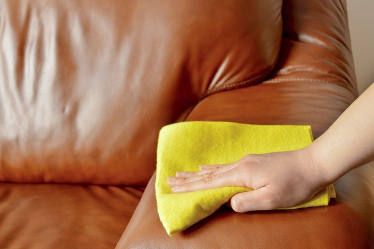 Ilustrasi membersihkan sofa kulit.