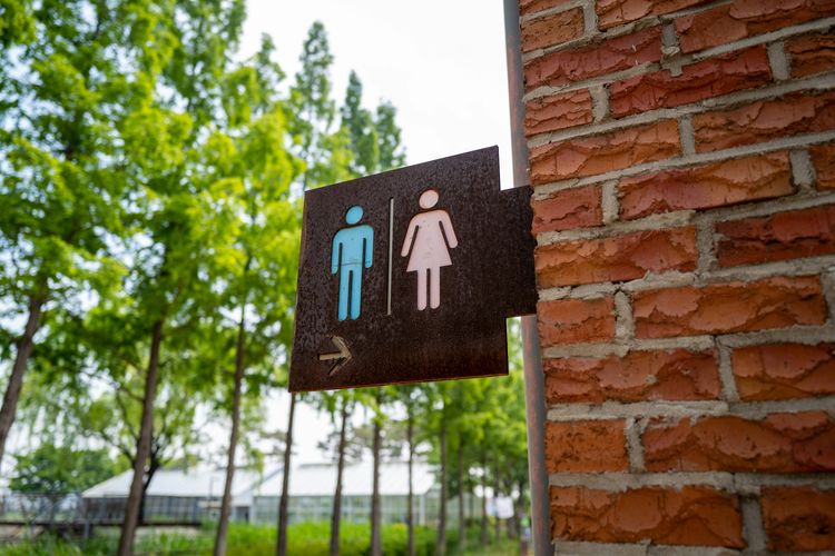 Toilet Umum Rp 11,2 Miliar di Jepang Jadi Destinasi Wisata, Apa Istimewanya?