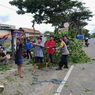 Jelang WSBK, Sejumlah Pohon Tua di Jalan Bypass BIL Menuju Sirkuit Mandalika Ditebang