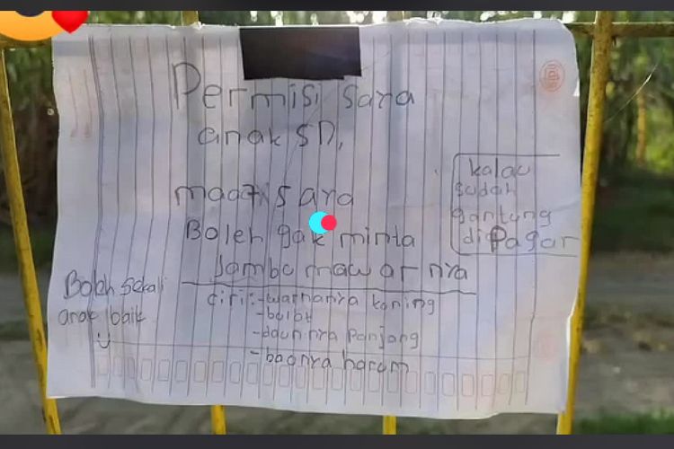 Cuplikan video TikTok viral soal anak yang meminta jambu di Sleman, Daerah Istimewa Yogyakarta.