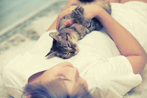 8 Alasan Paling Umum Mengapa Kucing Berbaring di Dada Pemiliknya