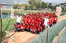 Cap Panah Merah Gelar Festival Panen Makmur, Berikan Solusi untuk Petani Lokal