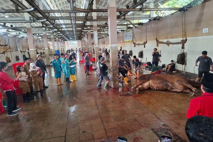 RPH Surabaya Terapkan 3 Prinsip Utama Sembelih Hewan Kurban, Higienitas hingga Kehalalan