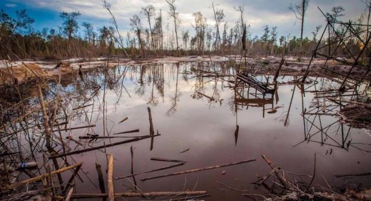 Pemilu 2024: Suara untuk Lingkungan Hidup