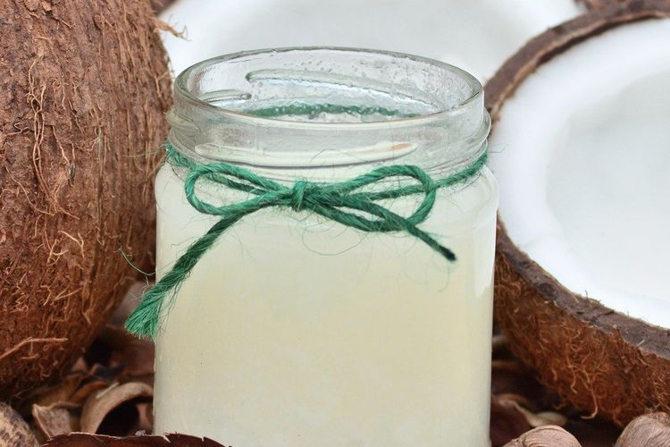 Ilustrasi kelapa, air kelapa. 