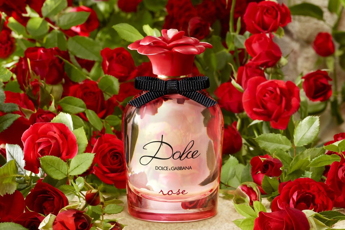 Dolce Rose dari Dolce & Gabbana