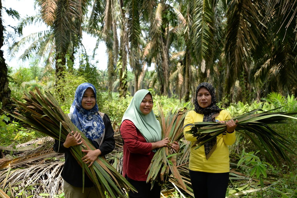 Para perempuan di Musi Banyuasin (Muba), Sumatera Selatan mengambil daun sawit untuk dijadikan anyaman lidi.