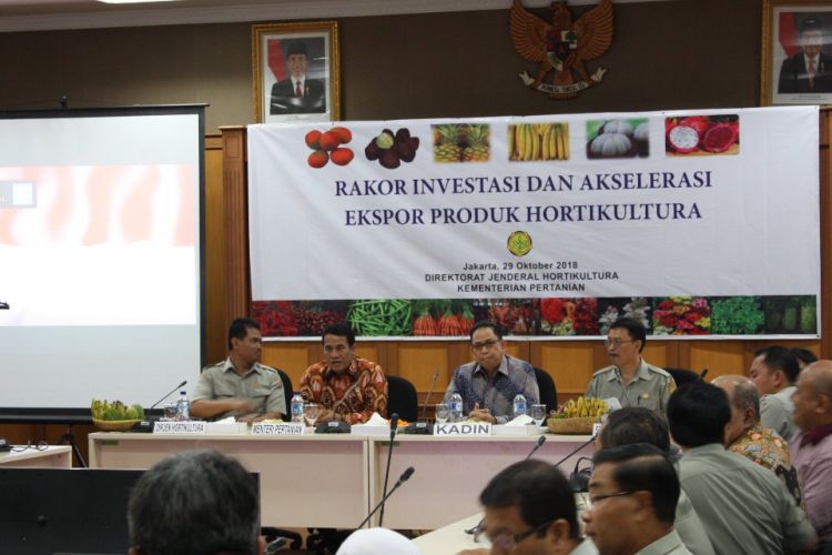 Kementerian Pertanian (Kementan) melalui Direktorat Hortikuktura menggelar rapat koordinasi peningkatan produksi, investasi dan akselerasi ekspor komoditas hortikultura bersama para eksportir di Jakarta, Senin (29/10/18).