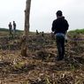 Ribuan Hektar Lahan Gundul di Perbukitan Blitar Selatan, Pemkab Waspadai Potensi Banjir
