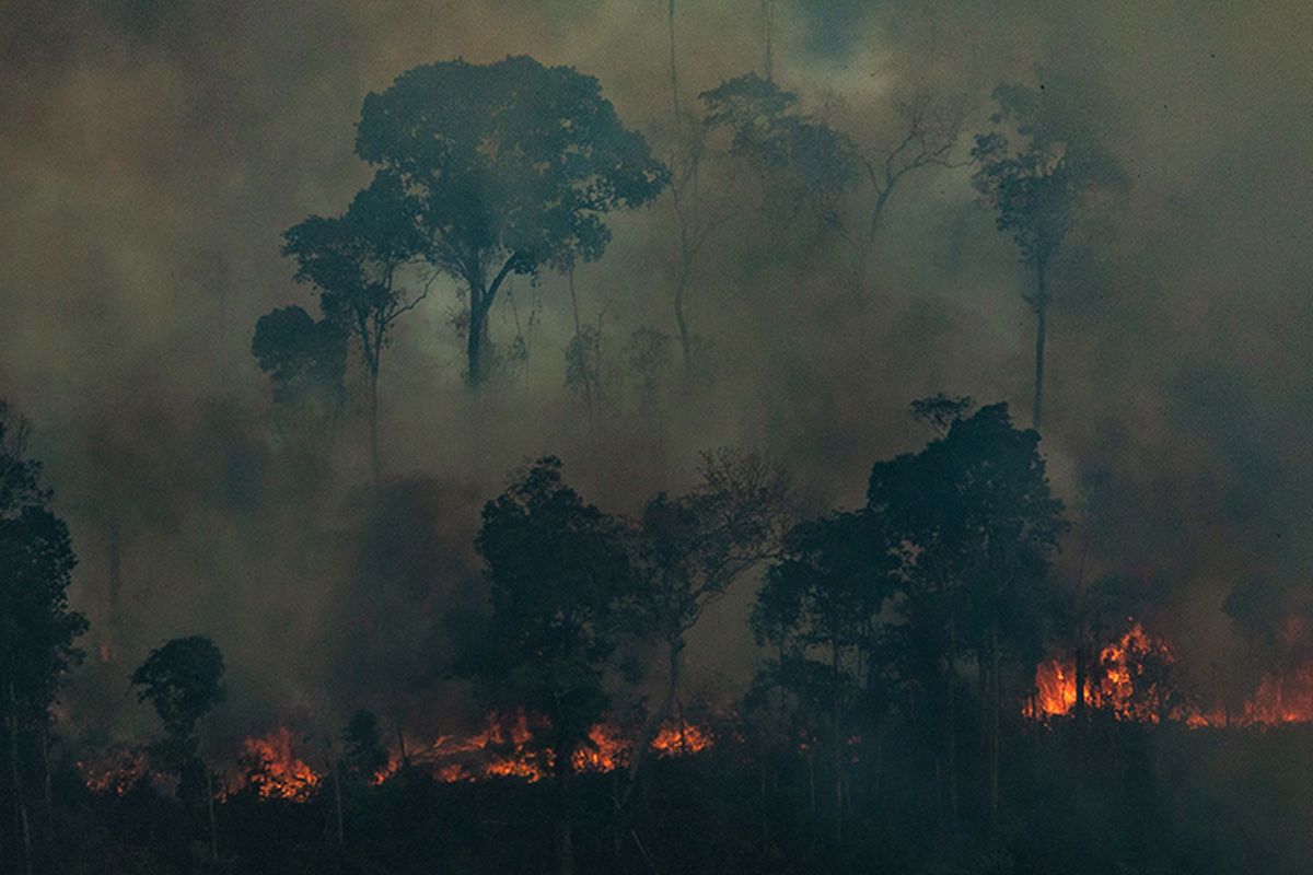 Foto udara menunjukkan kobaran api yang melalap hutan di Kota Candeias do Jamari, Amazon, Brasil, Sabtu (24/8/2019). Kebakaran hutan Amazon menjadi sorotan dunia setelah api yang menjalar di paru-paru dunia itu mencapai 18.627 kilometer persegi tahun ini, dengan 76.720 kebakaran terjadi dari Januari-Agustus.