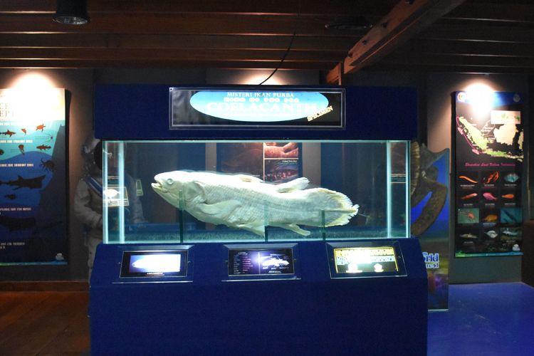 Museum di Sea Word Ancol. 