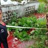 Warga Terkejut, Air Parit di Aceh Utara Tiba-tiba Berubah Warna Merah