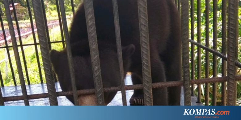 tiket masuk taman remaja surabaya 2020 Taman Satwa Ilegal Terbongkar Dikelola Oknum Mahasiswa 